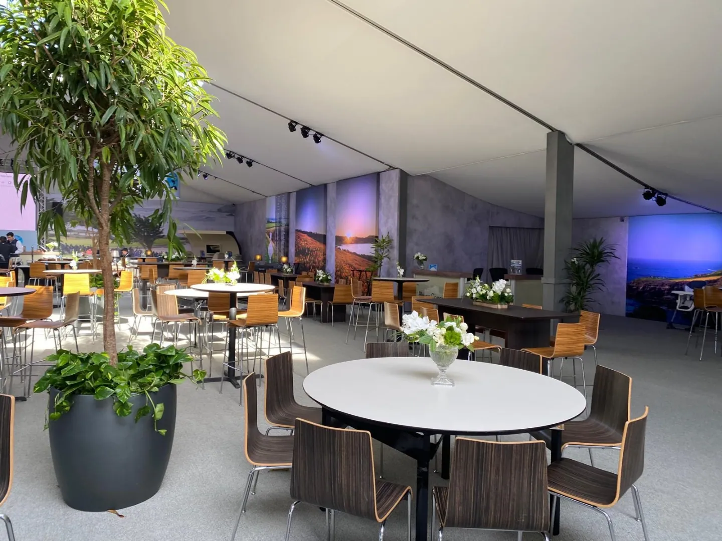 A tented dining room with large planted tubs, round and rectangular tables, timber chairs, and coloured wash lighting at the far end.